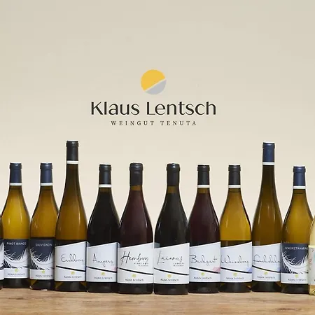 Appartamento Weingut Klaus Lentsch Appiano Sulla Strada Del Vino Esterno foto