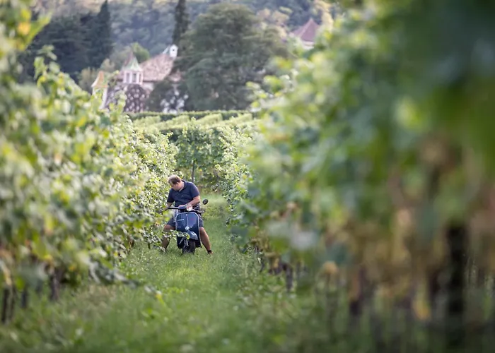 Weingut Klaus Lentsch