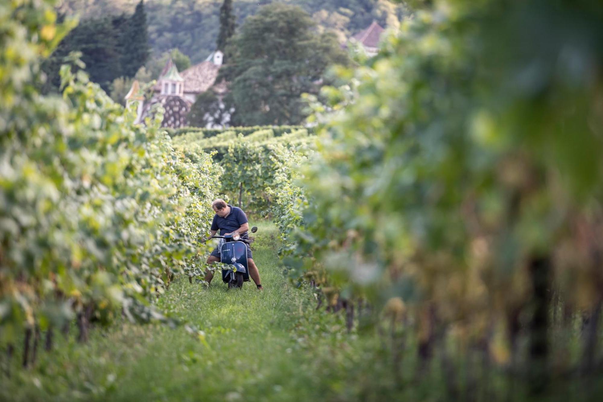 Weingut Klaus Lentsch Apartment Appiano Sulla Strada Del Vino
