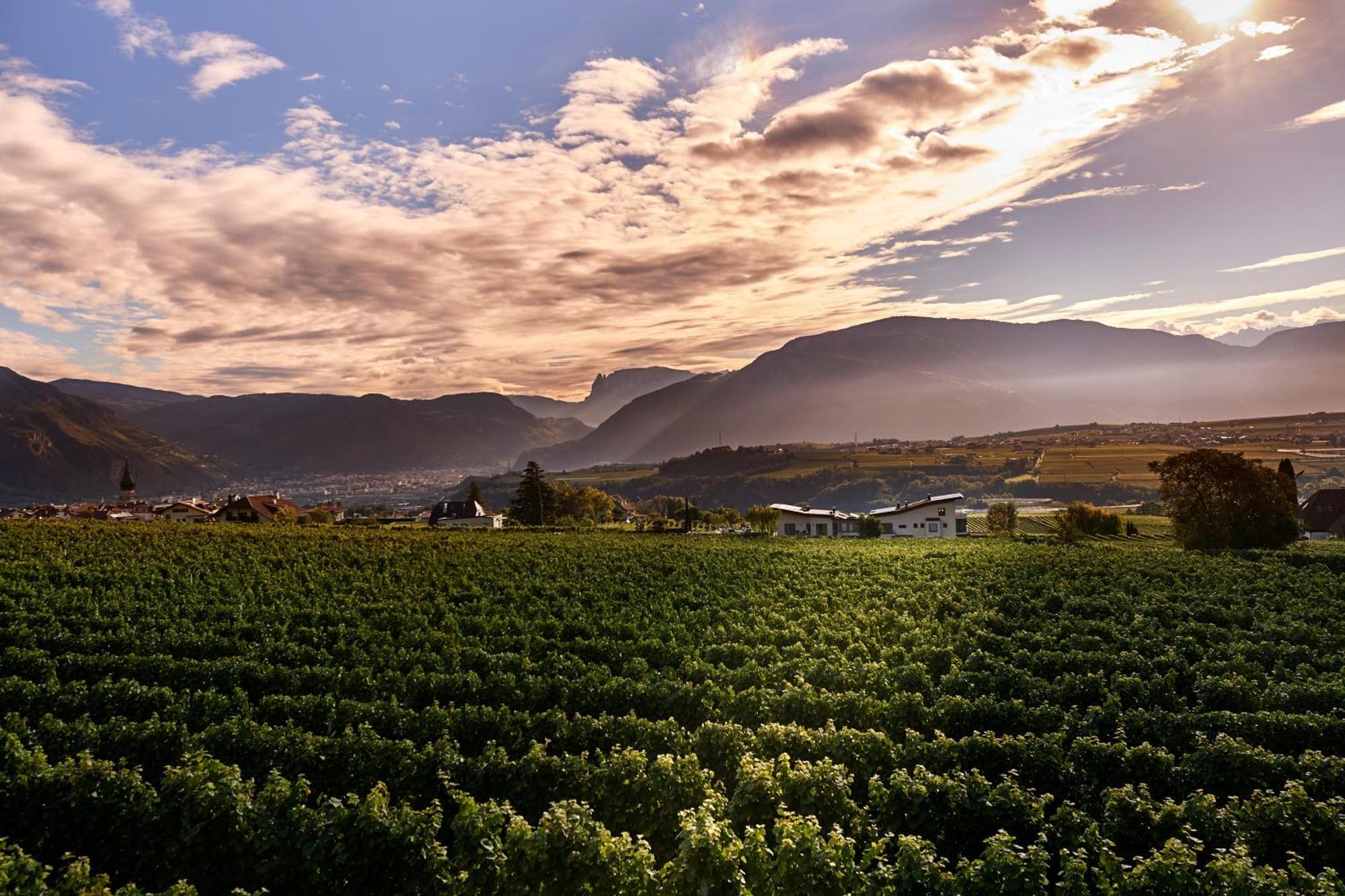 Weingut Klaus Lentsch *